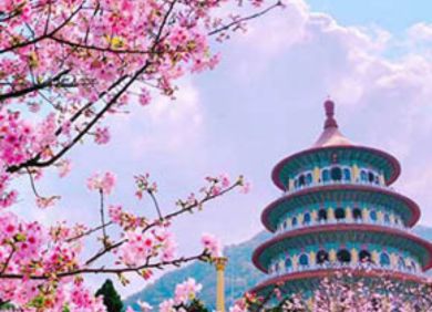 Tour Hà Nội Đài Loan ngắm hoa anh đào 5 ngày 4 đêm - bay Vietjet
